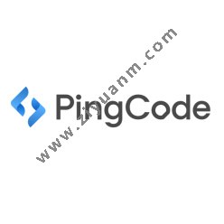PingCodelogo图标