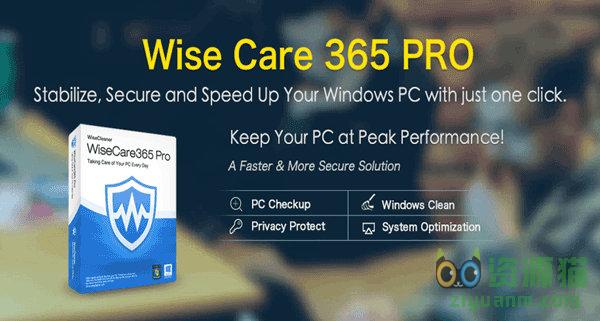 Wise Care 365 3.59.319 Professional Edition