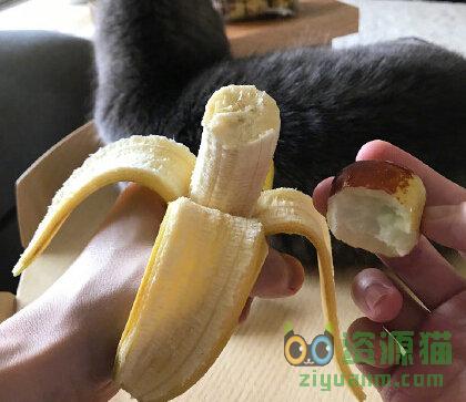 吃完香蕉为什么不能吃枣