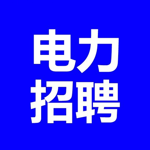 中国电力人才网logo图标