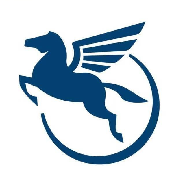 盛辉物流logo图标