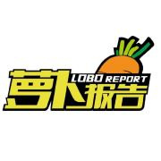 萝卜报告logo图标