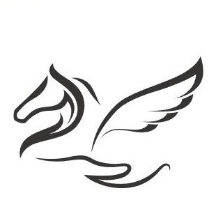 飞马国际logo图标