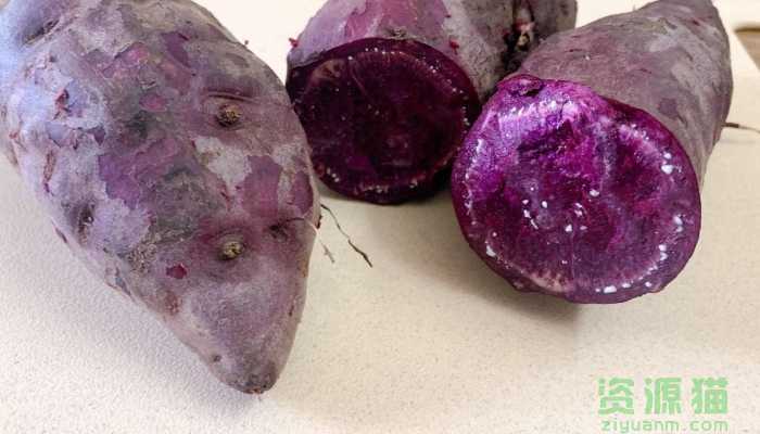 紫薯粥为什么是蓝色的 煮紫薯粥可以搭配哪些食材