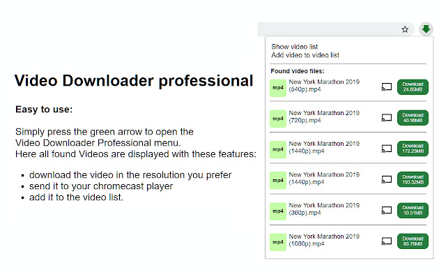 Video Downloader professional chrome擴展插件截圖