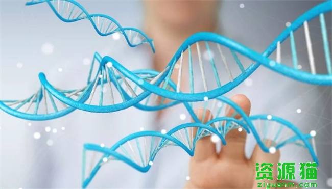 ​新生儿基因检测做还是不做  新生儿基因检测是什么
