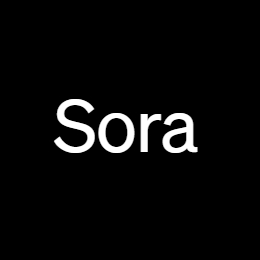 Sora视频模型