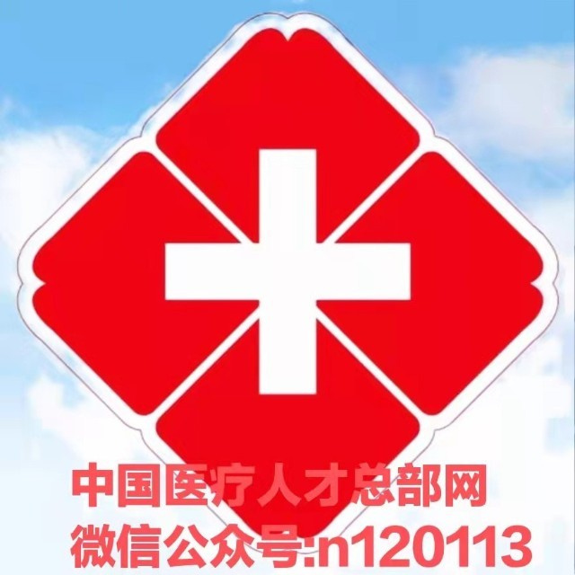 中国医疗人才网logo图标