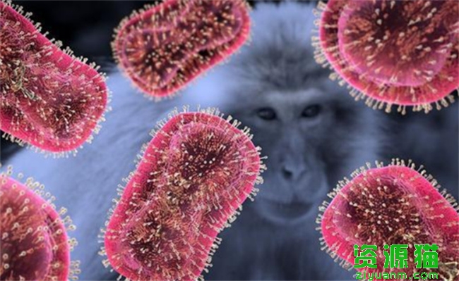 如何科学应对猴痘病毒