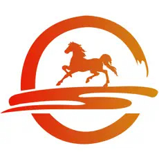 甘肃政务服务网logo图标