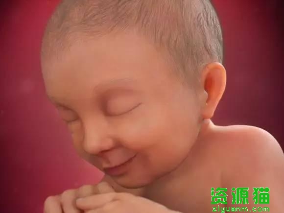 胎宝宝每个月发育全过程图（胎宝宝40周发育高清图）(15)