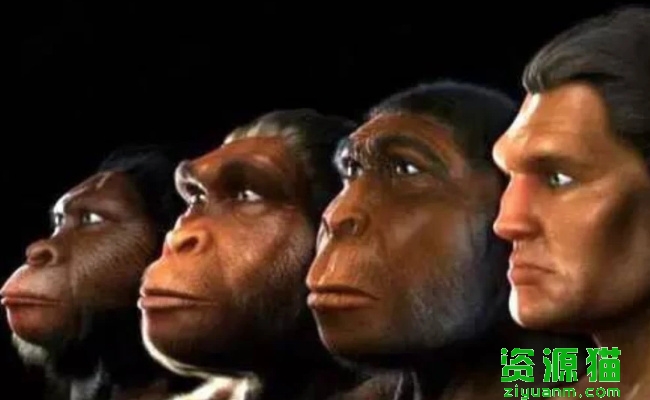 人类的进化过程可以分为几个阶段 分别是哪些