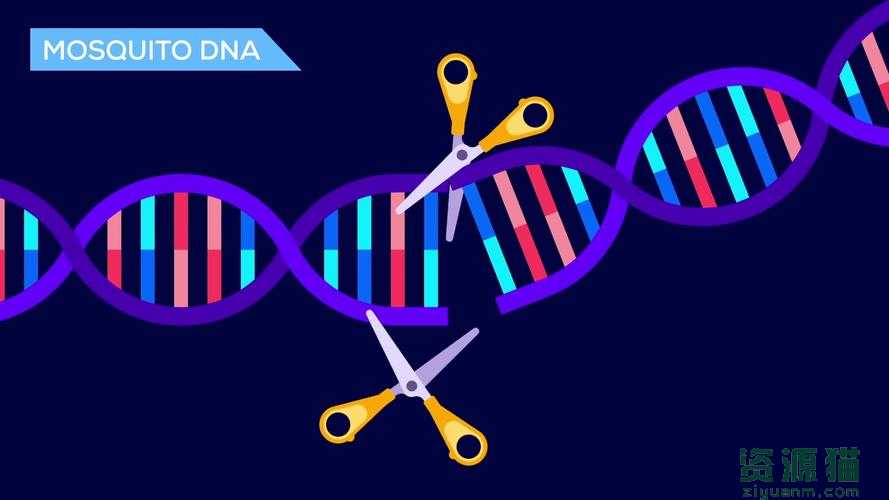 基因工程中的引物的作用是什么