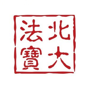 北大法宝logo图标