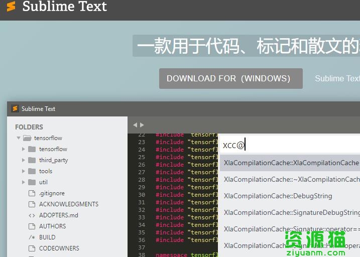 Sublime Text 中文