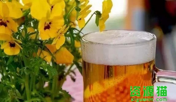 啤酒的15条生活妙招 妙用啤酒擦玻璃、洗刷锅底、浇花、洗衣、做饭