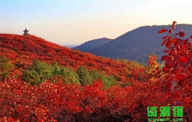 以红叶著名的香山位于哪座城市？
